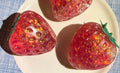 Strawberry squishy