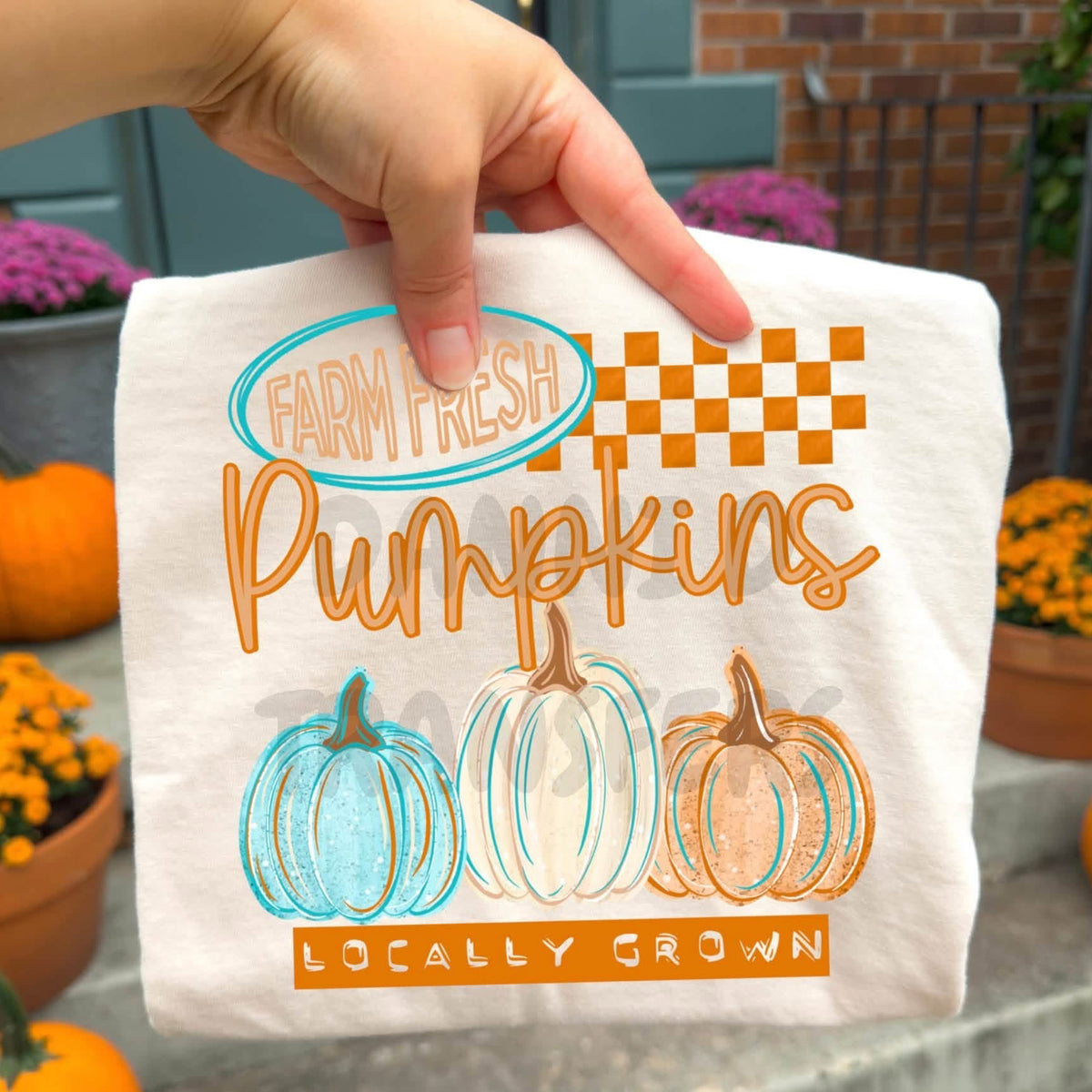 Pumpkin Farm