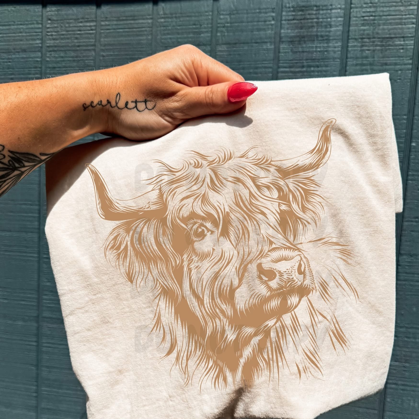Highland Cow Face